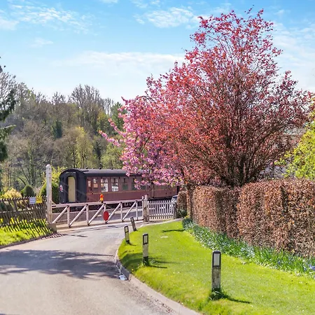 Bracken At Holly House - Uk44469